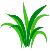 Herbicide